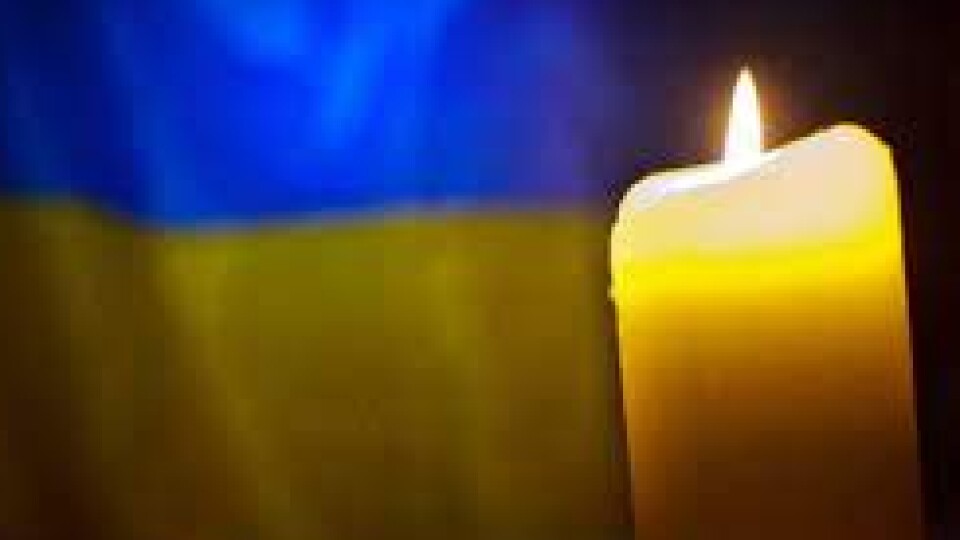 За Україну загинула 28-річна волинянка Олена Созонюк