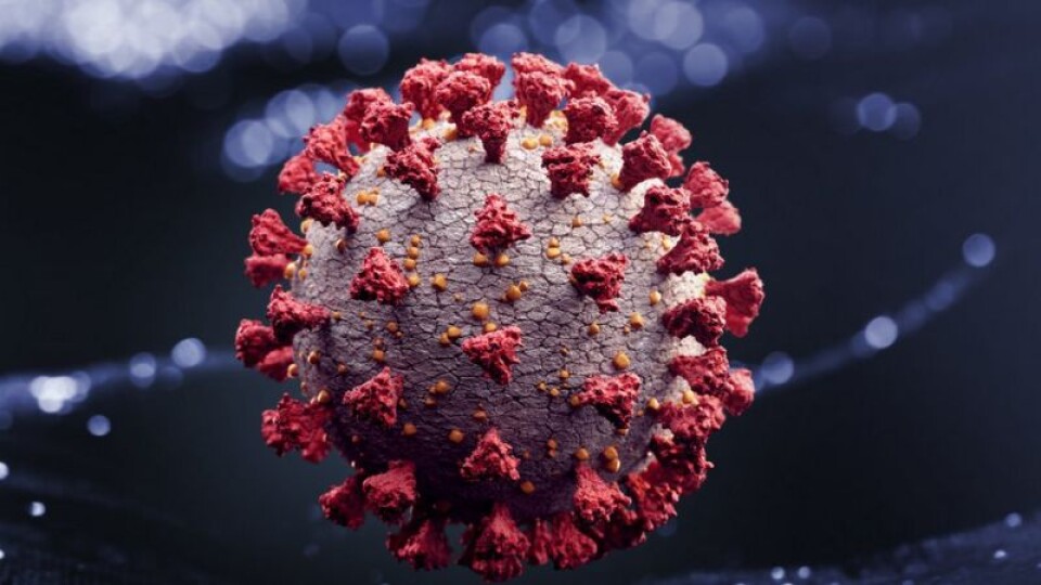 Небезпечніші за інші: ВООЗ скликає екстрену нараду через новий штам коронавірусу
