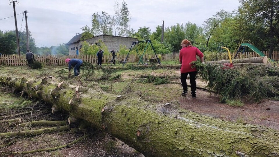 Повалив десятки дерев: на Волині люди прибирають наслідки буревію