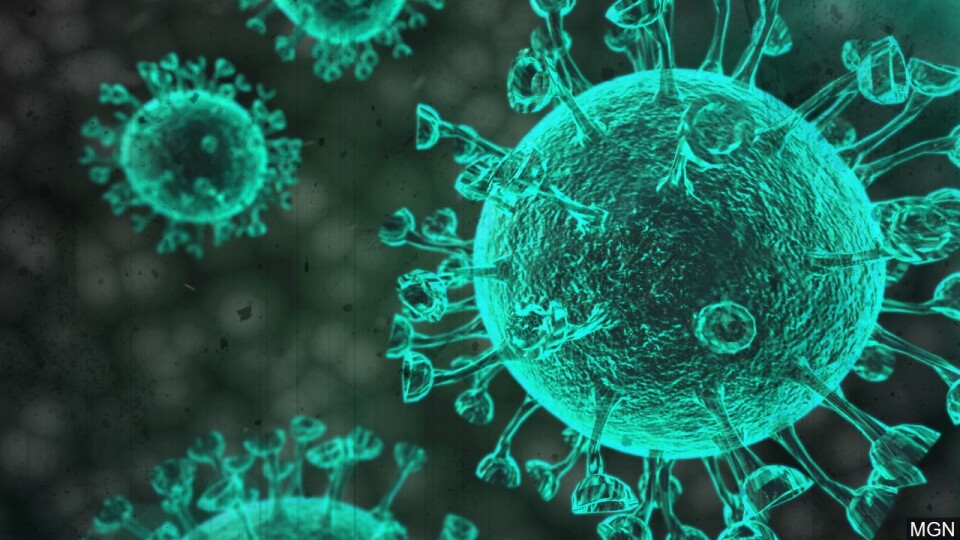 В Україні виявили нову мутацію штаму коронавірусу «Омікрон»