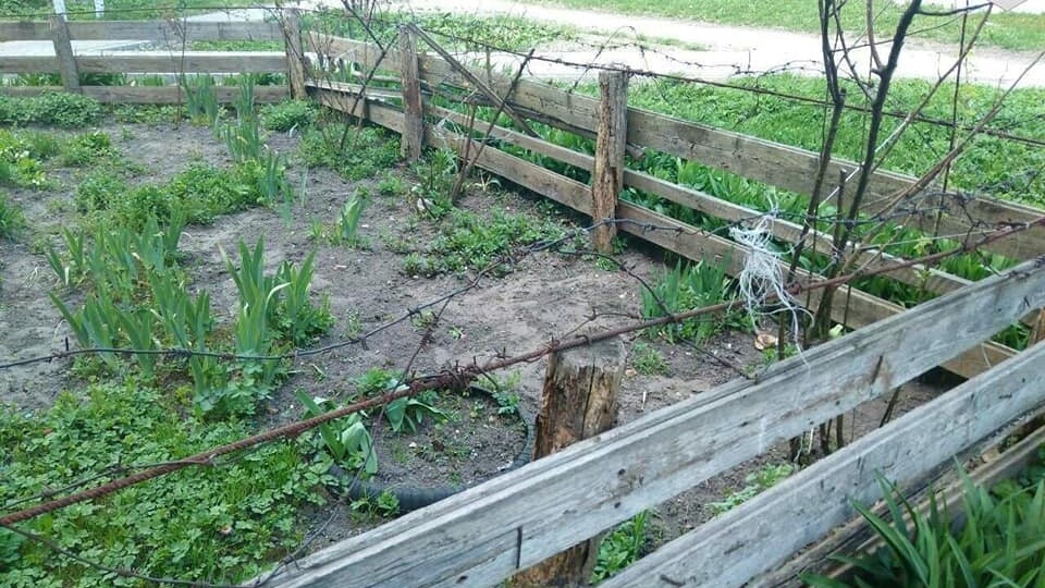 У Луцьку біля багатоквартирних будинків заборонено облаштовувати городи