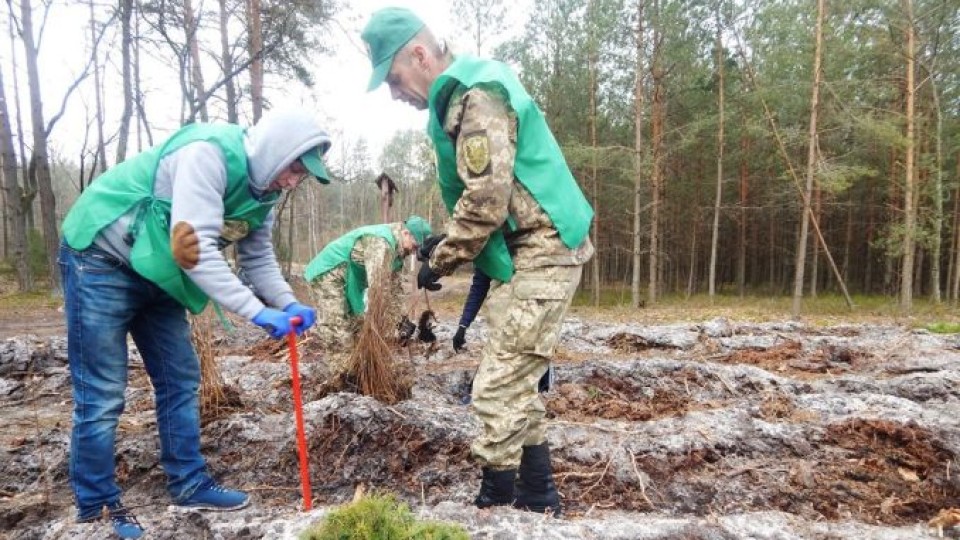 На Волині атовці разом з дітьми садили ліс. Ділянку присвятили загиблим побратимам. ФОТО