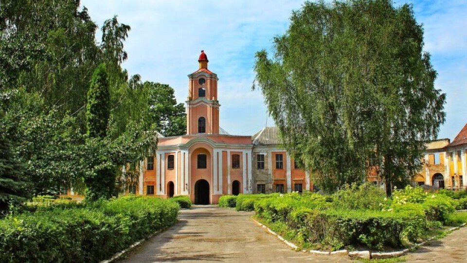 Передумали будувати другу психлікарню в Олиці