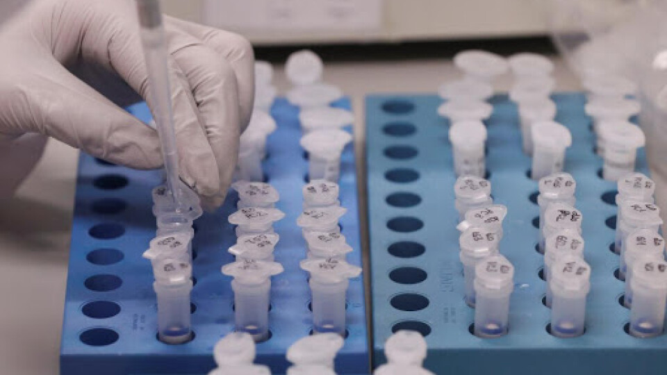 В Україні можуть запустити масове тестування на імунітет до коронавірусу