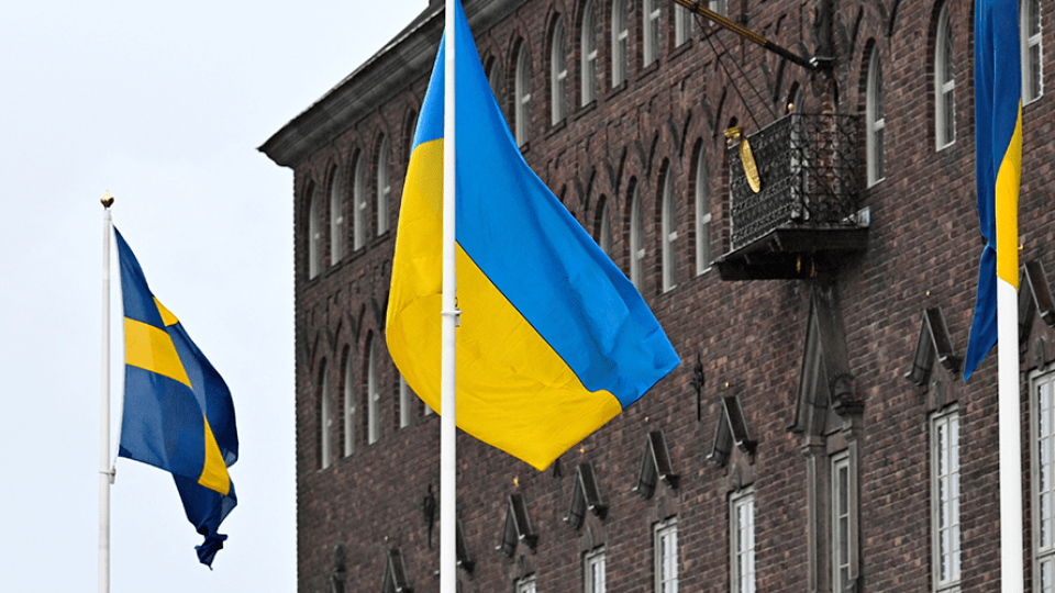 Шведи зголосилися воювати за Україну в Інтернаціональному легіоні