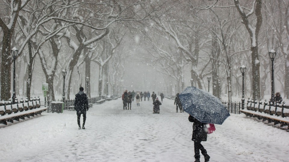 Весь день сніг: погода в Луцьку на 13 січня