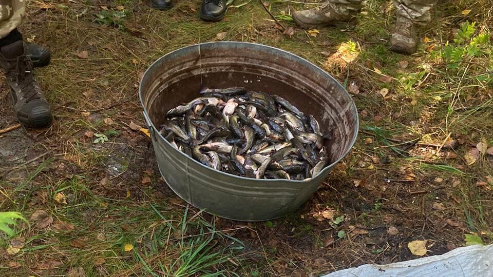 Ловив рибу сітками: на Волині викрили  55-річного браконьєра
