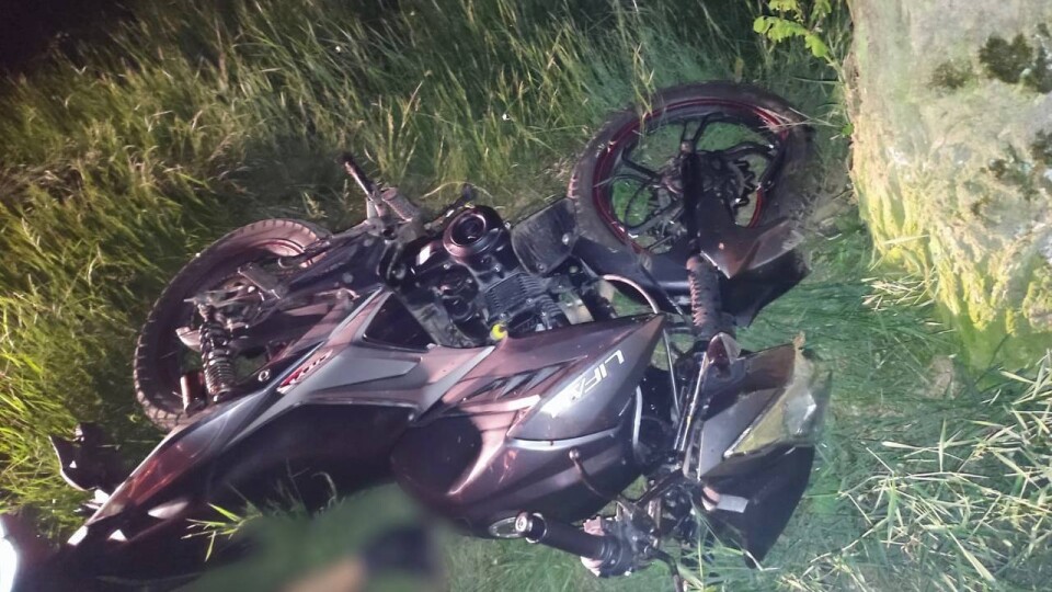 Влетів у дерево: на Волині в аварії загинув мотоцикліст