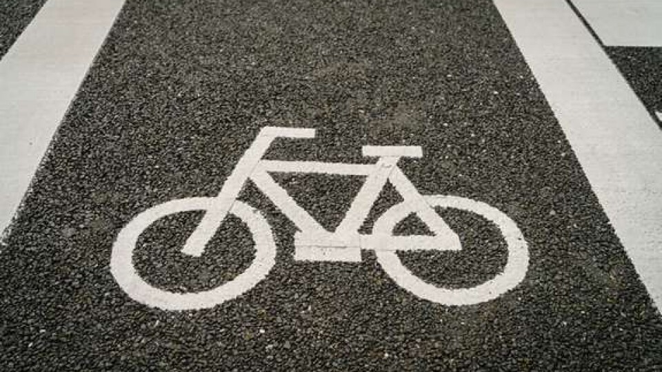 В Луцьку немає жодної нормальної велодоріжки, - міський голова
