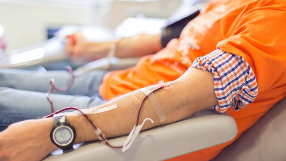 Лікарі продовжують збір донорської крові у Володимирі та Нововолинську