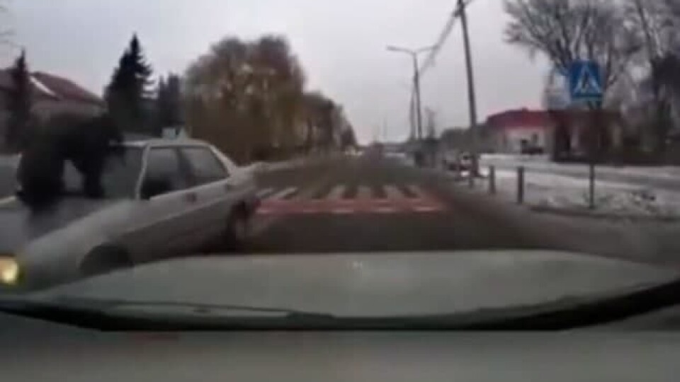 Опинився на капоті:  у Луцьку автомобіль збив чоловіка не переході