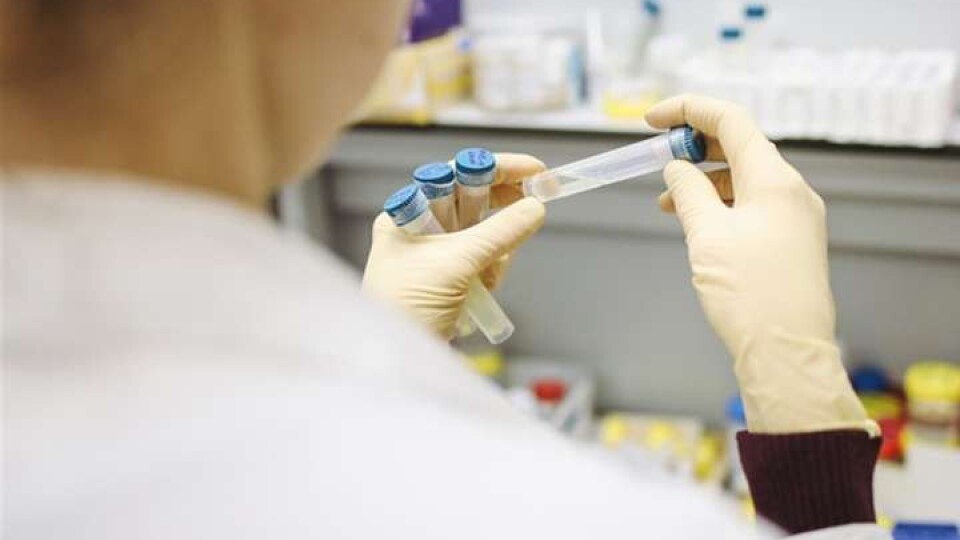 В Україні поки не виявили штамів коронавірусу із Британії, ПАР і Бразилії