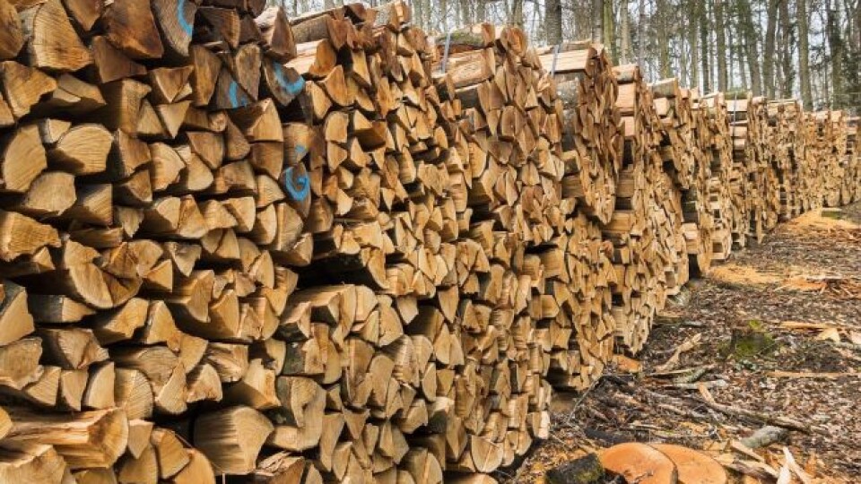 Понад 40 родин у Луцькій громаді безоплатно отримають дрова