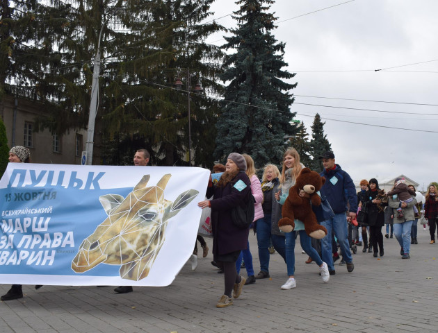 Зоозахисники влаштували у Луцьку марш за права тварин