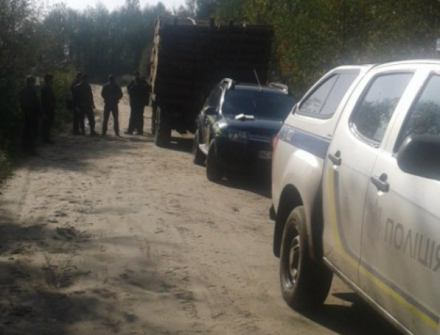На Волині зловили дві вантажівки з лісом з порушеннями в документах
