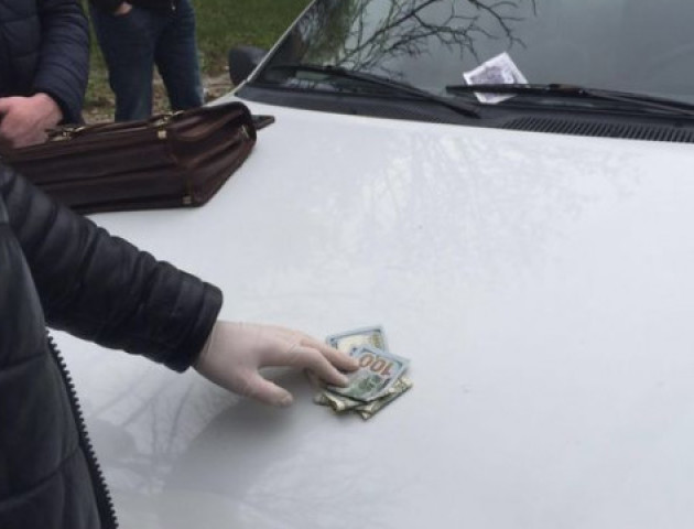 У Любомлі адвокат-хабарник вимагав у підзахисного більше тисячі доларів