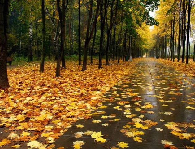 Якою буде погода у Луцьку та області 25 жовтня