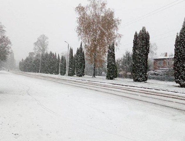 Перший сніг випав у ще трьох областях України: користувачі соцмереж активно діляться світлинами