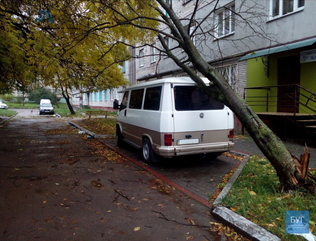 Які наслідки лишив за собою шквальний вітер у Нововолинську. ФОТО