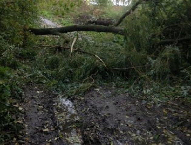 Майже півсотні сіл на Волині через негоду залишилися без світла