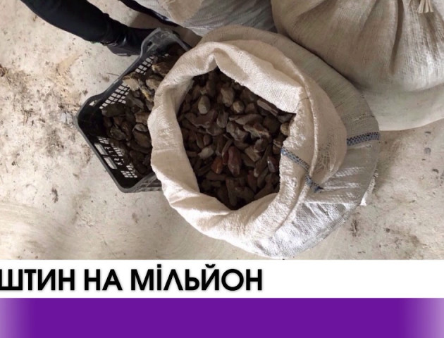 У підпільних цехах Волині вилучено бурштин вартістю понад мільйон гривень