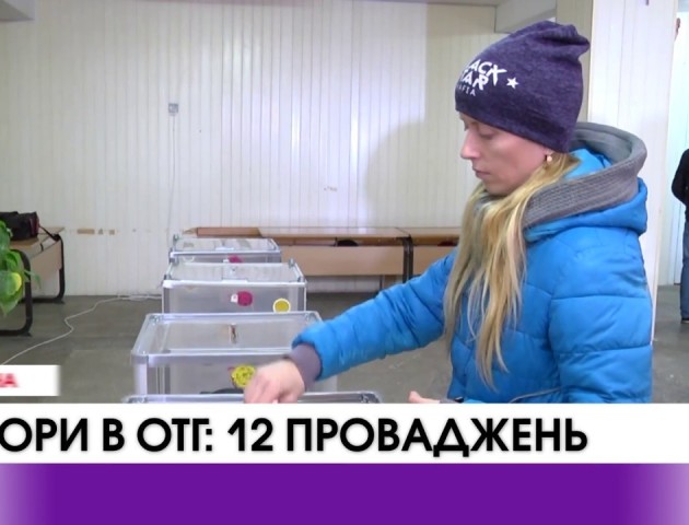 Поліція України зафіксувала 73 порушення на виборах до об'єднаних територіальних громад. ВІДЕО