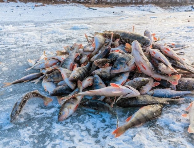 В Китаї, на замороженому озері, проходить щорічний зимовий фестиваль рибалок. ВІДЕО