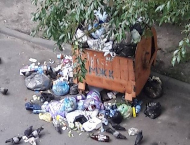 У луцькому дворі «виросла» гора сміття
