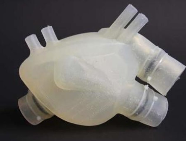 Вчені роздрукували на 3D-принтері серце, що б'ється