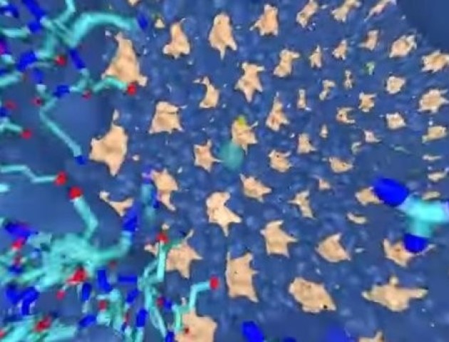 Біологи показали, як виглядає ВІЛ на відео