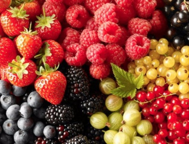Волинь заробила на ягодах понад 900 тисяч гривень