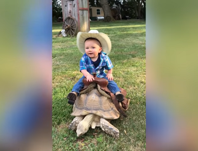 Дев’ятимісячний малюк осідлав черепаху. ВІДЕО