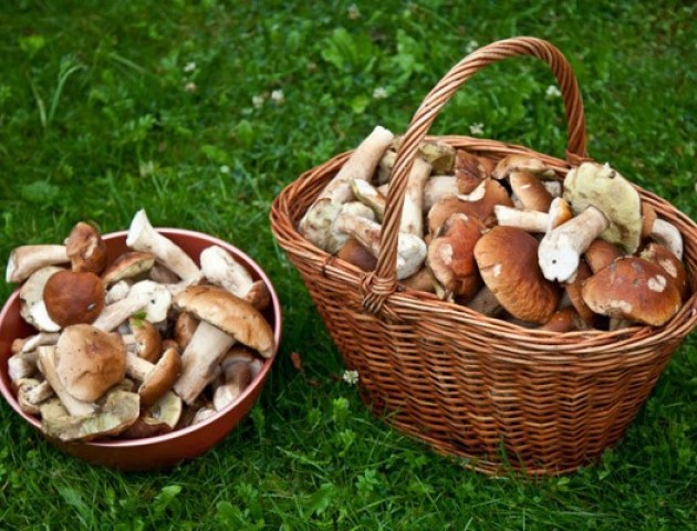 Відомі лучани поділилися улюбленими рецептами приготування грибів