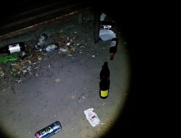 Сімейні розбірки, п'яний водій та студентки із самогонкою: як минула «самооборонівська» ніч у Луцьку