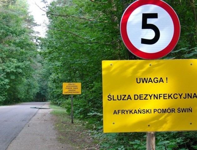 Польща будуватиме паркан на кордоні з Україною і Білоруссю