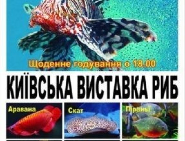 Власника «виставки риб» зі столиці оштрафують на Волині