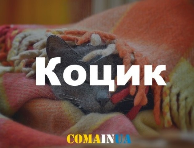 10 затишних українських слів, які пасують осені