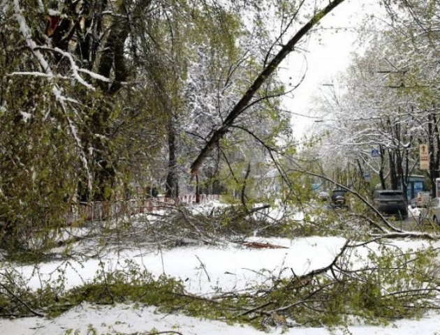 Через негоду в Україні знеструмлені майже 700 населених пунктів