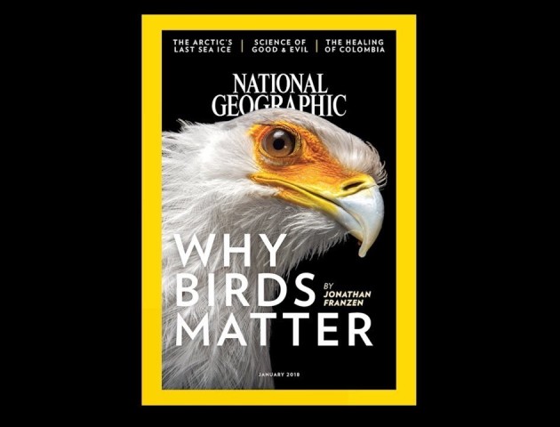 130 років за 2 хвилини: National Geographic показав усі свої обкладнки. ВІДЕО