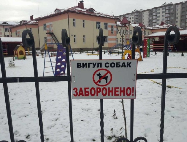 У Луцьку на території шкіл та дитсадків заборонили вигул собак. ФОТО