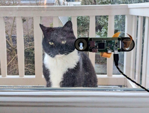 Нідерландець придумав спосіб розпізнавати кота, щоб відкривати йому двері