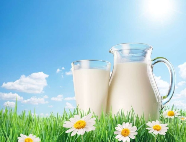 Чи купуєте Ви домашнє молоко та продукцію?