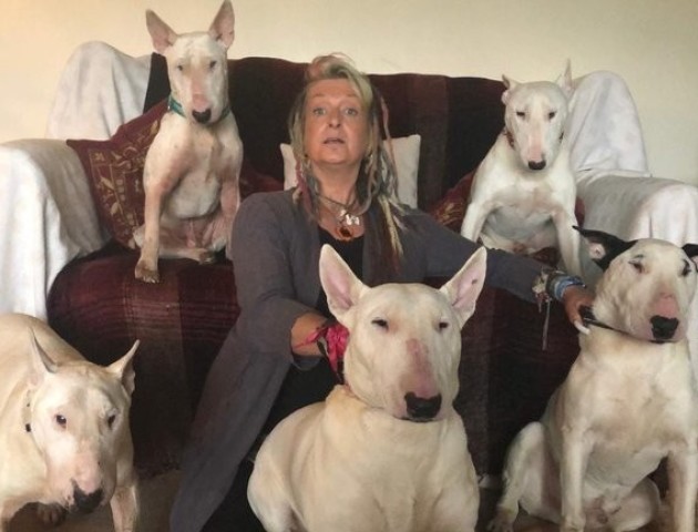 Жінка покинула чоловіка, з яким прожила 25 років, заради 30 собак