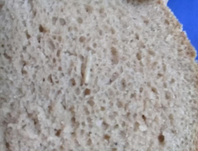На Волині дівчина придбала хліб з «живим сюрпризом». ФОТО