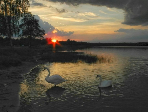 Чарівний захід сонця над волинським озером. ФОТО