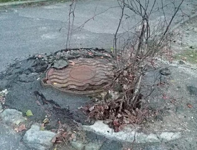 Небезпечну яму в дворі луцької школи закидали гілками. ФОТО