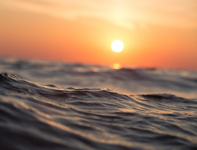 Науковці б’ють на сполох через аномальну температуру океану